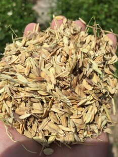 ���V�|���ݖ|�x��������䓡����~�S����偠t���ùȚ������ȡ����