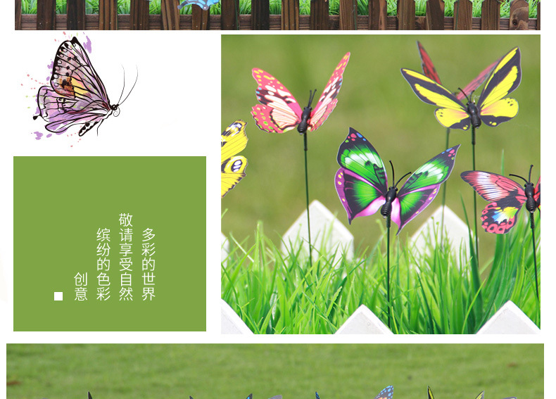 详情-蝴蝶-0620_12