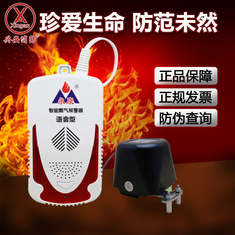永康语音型燃气报警探测器 家用煤气报警器一氧化碳厂家直销包邮|ru