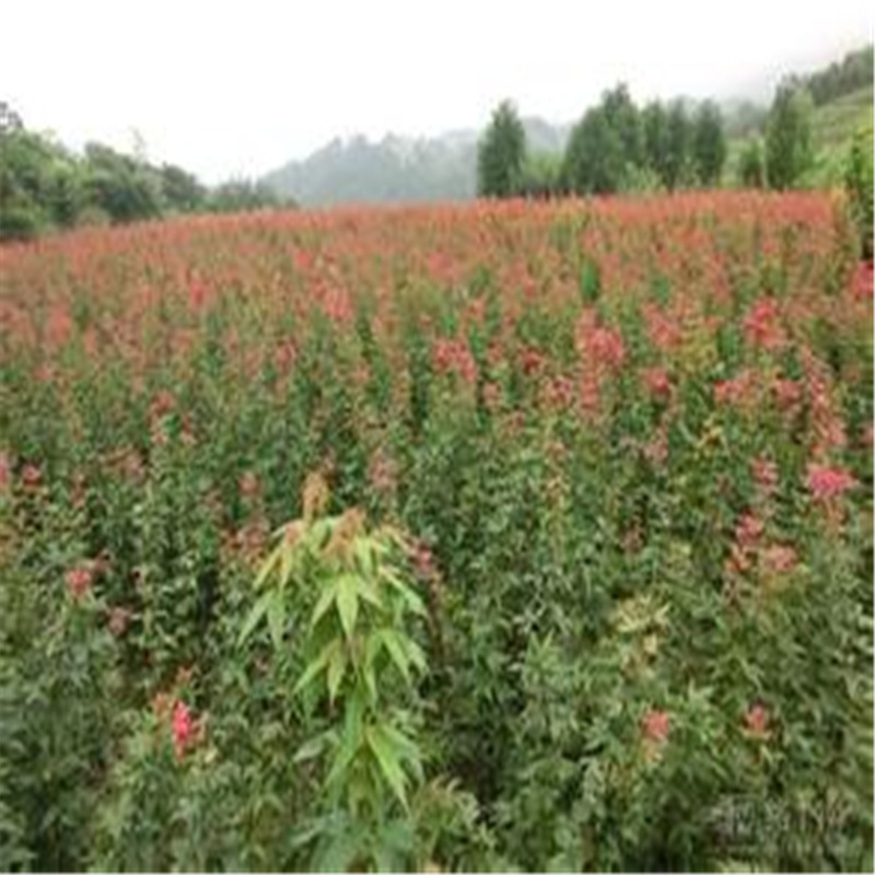 u=4281606064,801578320&fm=