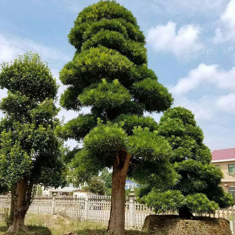 mmexport1472787344903