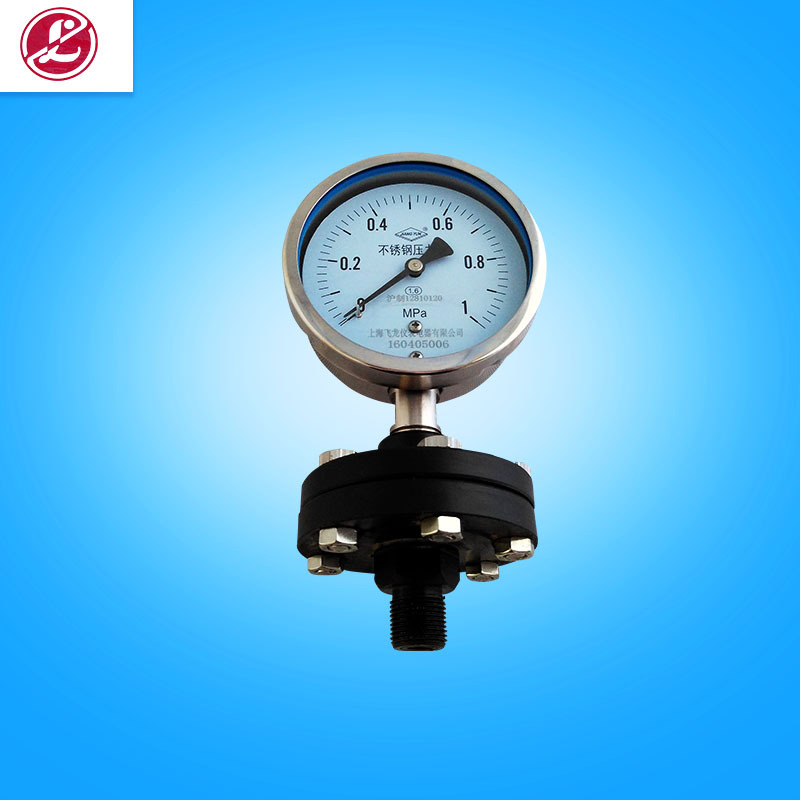 隔膜压力表YE100  高精度 不锈钢防震0-1MPA