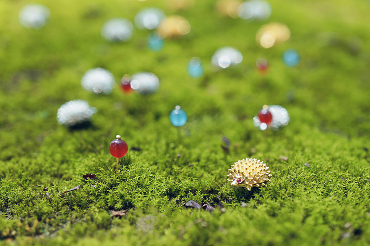 5329593658 1744051483