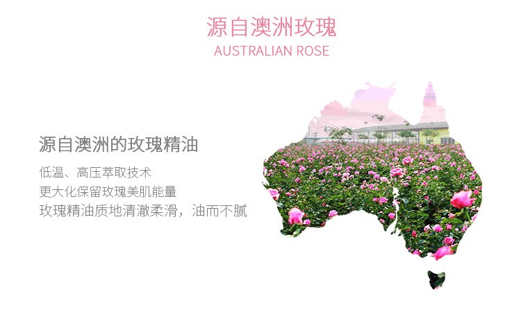 牛奶玫瑰详情-恢复的_08