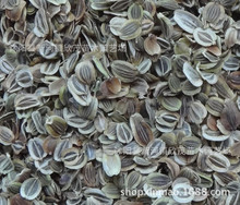 ���lǰ���N���u�_ǰ���N�ӹ�ǰ���N��ɽ����N����ș�ķN�Ӱ��]