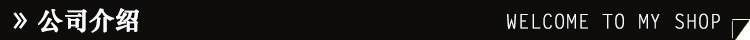 公司介绍