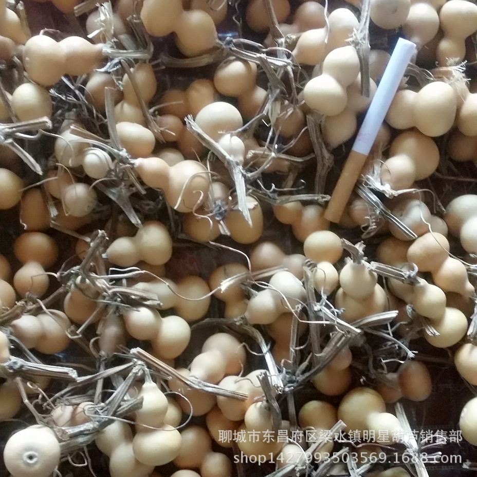 MYXJ_20170209095846_fast