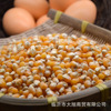 Wholesale and explosion of corn grain spherical burst corn raw materials for cinema popcorn packaging packages