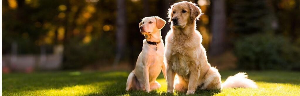 QQ图片20170326221934