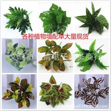 过胶绿萝配草墙上装饰假树叶绿植仿真植物墙配材蕨类布景婚庆引路