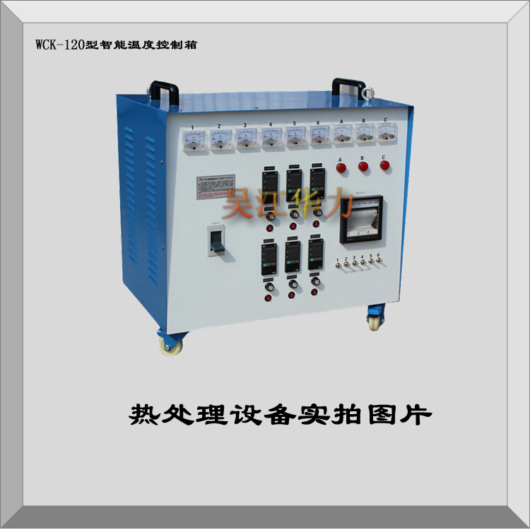 供应热处理设备智能温度控制设备微机智能温控仪WCK生产厂家