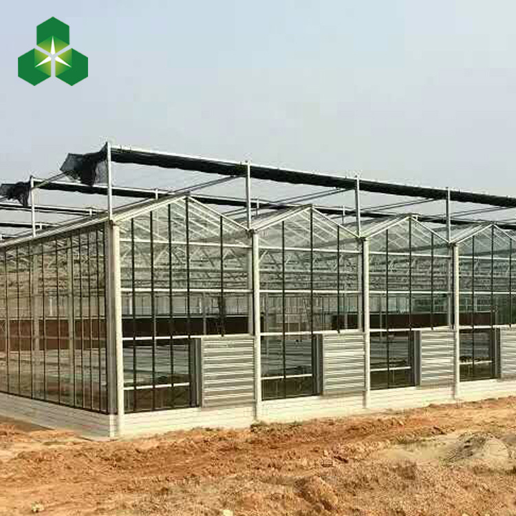 玻璃温室大棚 连体大棚玻璃覆盖 玻璃温室材料 温室大棚材料厂