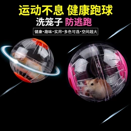 仓鼠窝、笼;仓鼠生活用品;仓鼠玩具