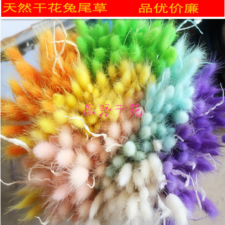 IMG_4622_副本_副本_副本