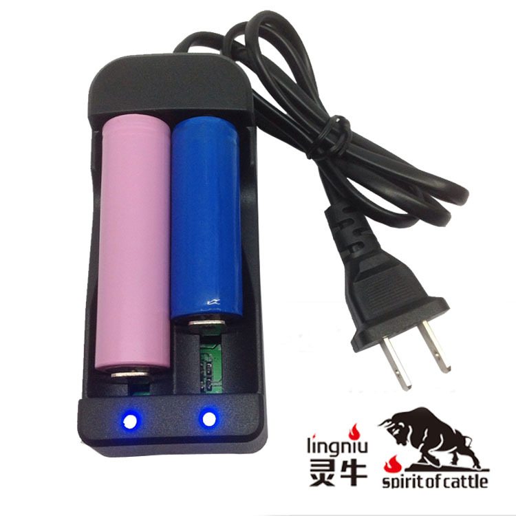 美规双槽1630 磷酸铁锂充电器 3.2V 18650电池 CE FCC证 厂家直供