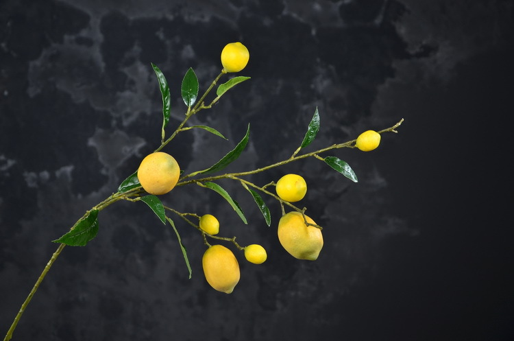 2-3黄色欧罗柠檬