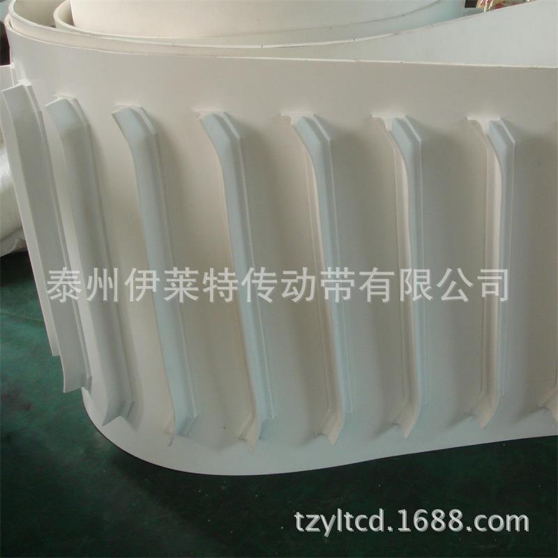 订做爬坡输送机 挡板输送带 食品输送带 提升带 升降机裙边输送带