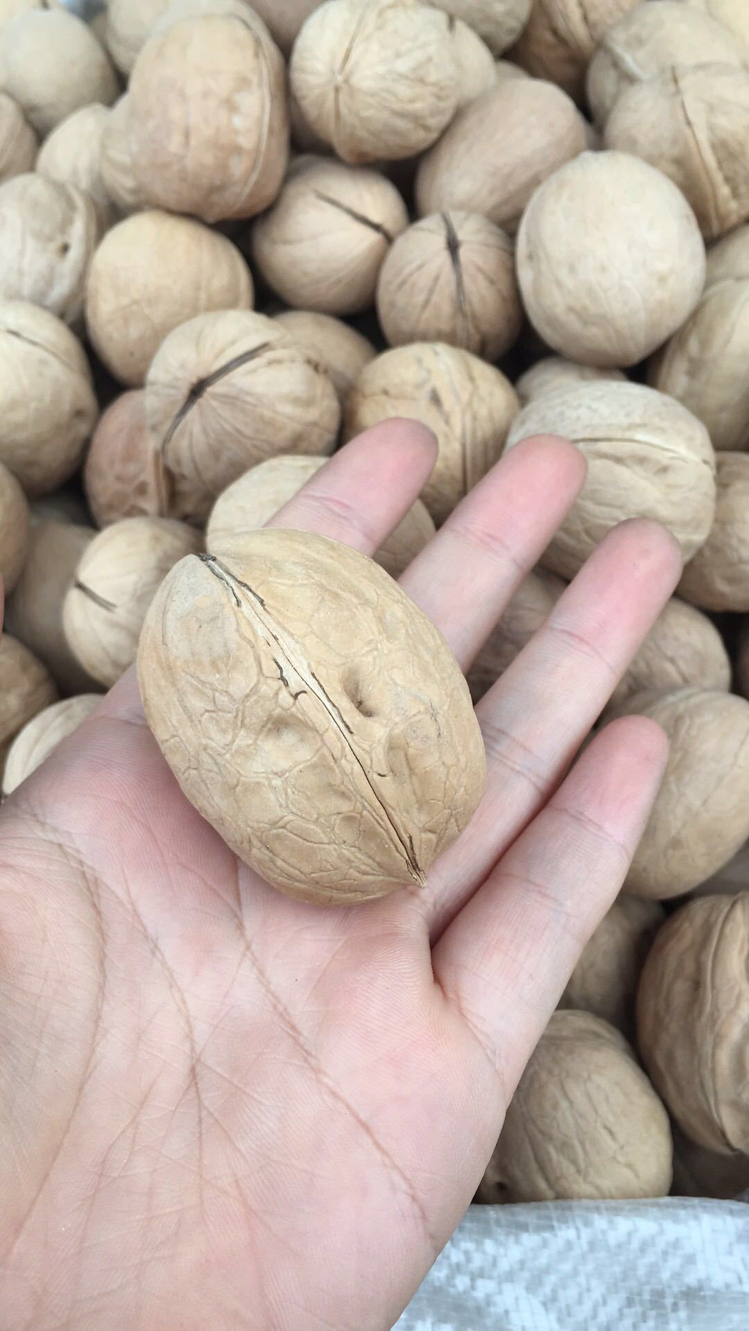 微信图片_20171026102442