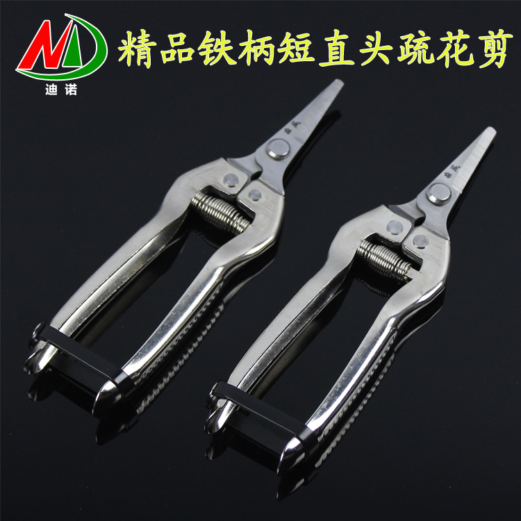 铁柄短直头疏果剪 摘果剪刀 疏花剪 不锈钢直头剪刀 稀果剪