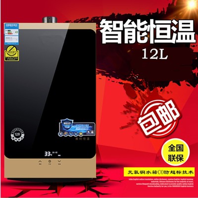 Gas water heater frequency conversion constant temperature household heater Natural gas Strong emission-type LPG Gas heater 12 rise