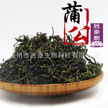 胜豪新货批发花草茶花茶蒲公英茶蒲公草蒲公英根