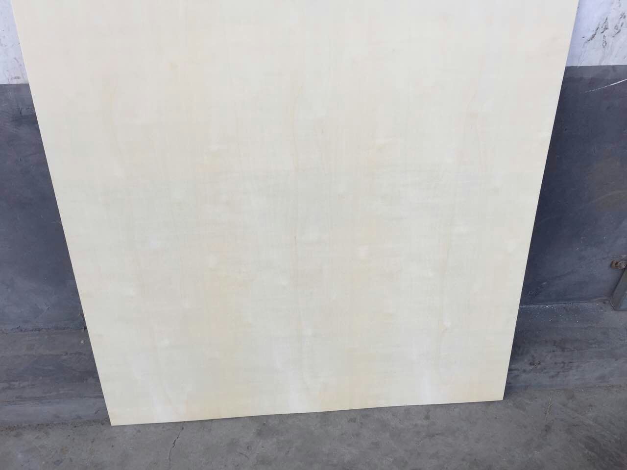 微信图片_20170608063913