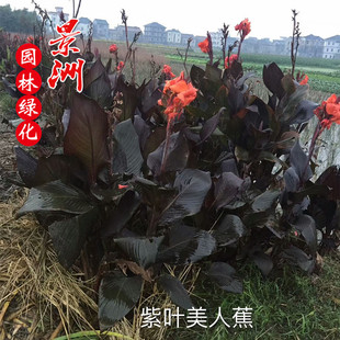 �@�ַN�����~���˽� ���~���˽��r�� ���˽����ش�������