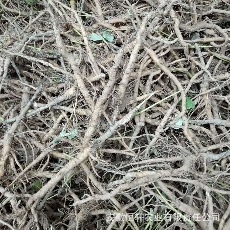 微信图片_201709201001237