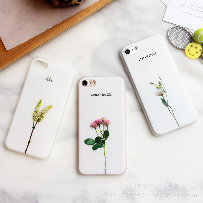 3676173389_1576710442