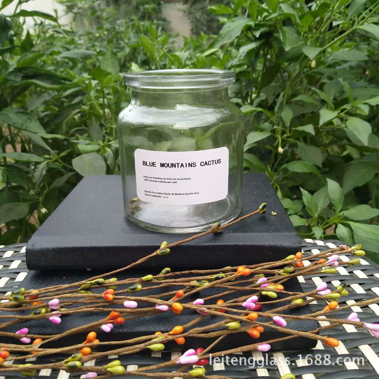 热销mini北欧玻璃花瓶 INS宽口水培花瓶 装饰花瓶摆件批发定做