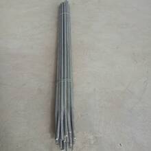 �S�Ұl؛������NҎ��ğ���\ͨ���F�� �ؾ��� �������^ ���w��