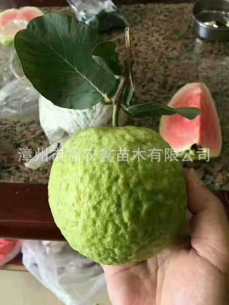 mmexport1504763390981