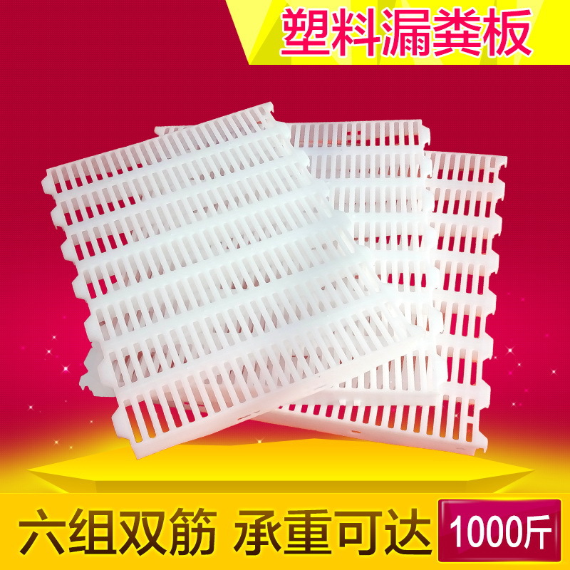 猪舍漏粪板塑料 猪用加厚双筋养殖仔猪产床用猪地板 养猪设备厂家