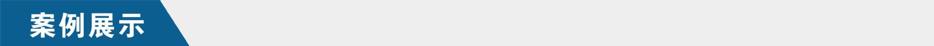 案例展示