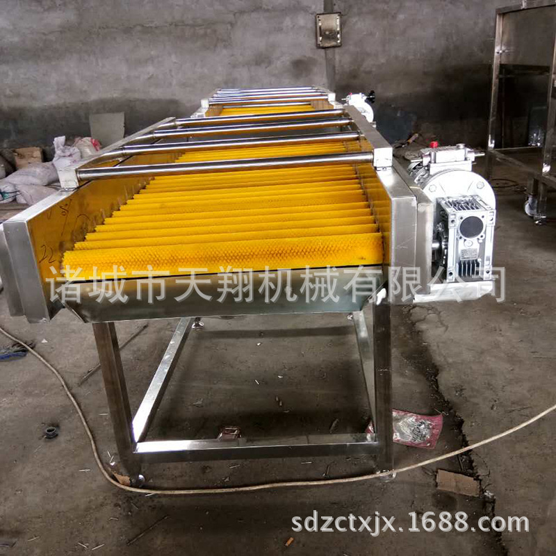 天翔 制造苹果平行式毛辊清洗机 热卖中