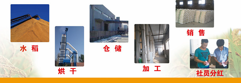 微信图片_20171009153252