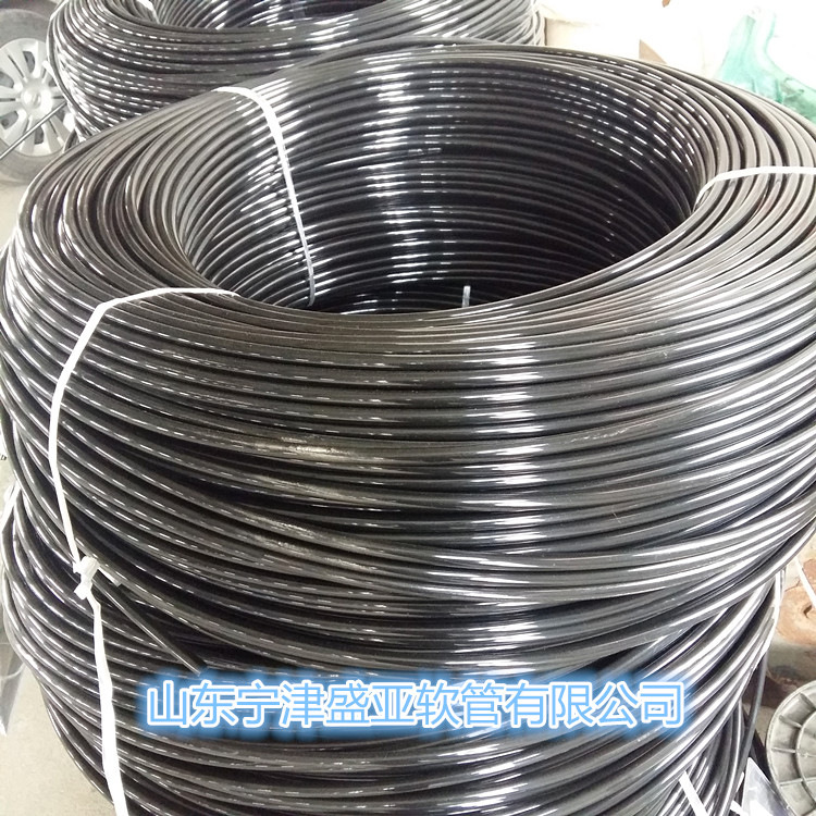 20161118_095614_鍓湰