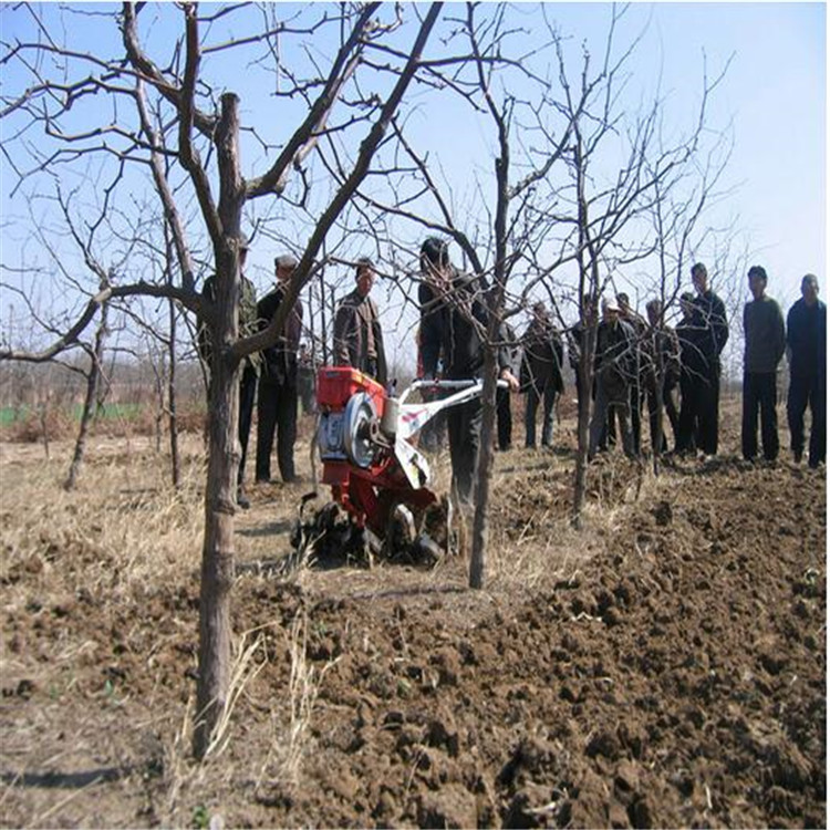 家用微耕机 唐山手扶农作物开沟机