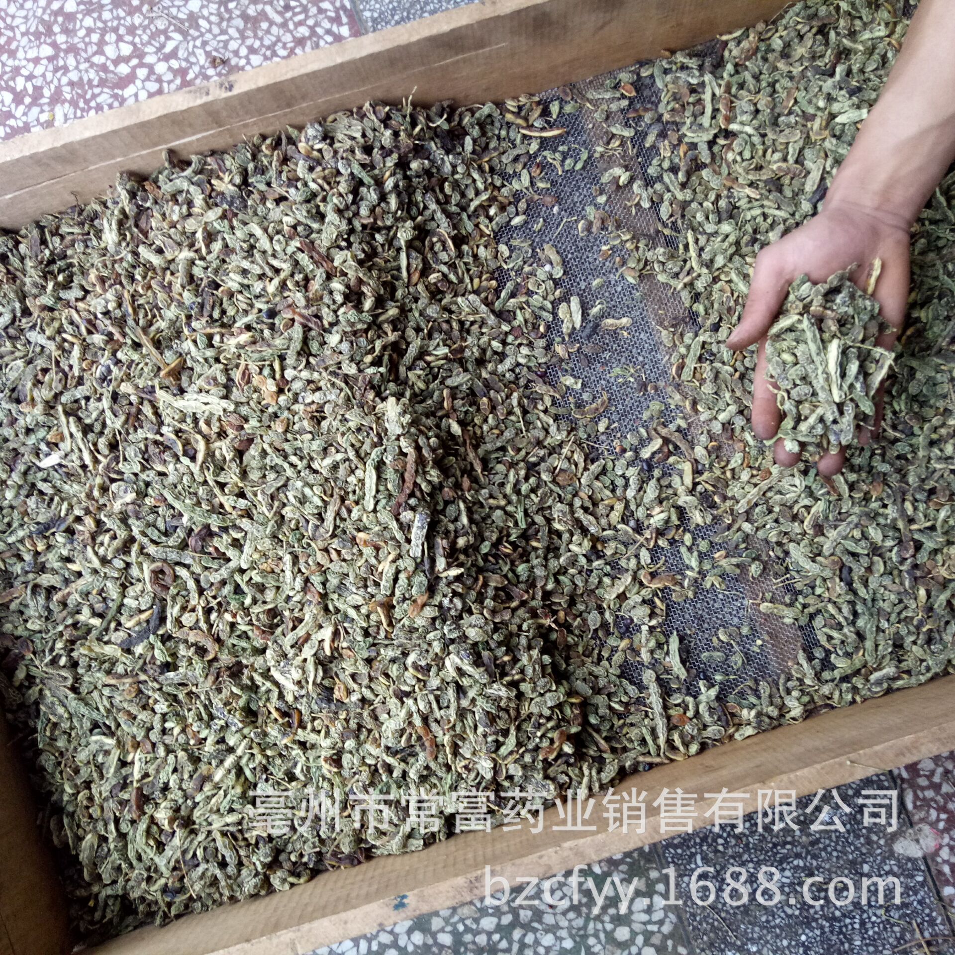 Dried Huai Jiao Sophora Fruit 500g Natural Sun Dried Chinese Herbal Ingredient for Decoction and Culinary Use specifications