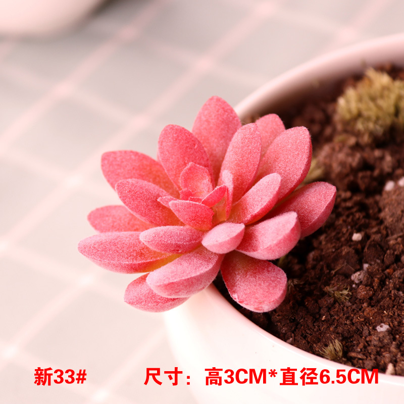 シミュレーション多肉植物卸売り小多肉優品偽緑植壁室内外装飾組み合わせ植毛リアル肉