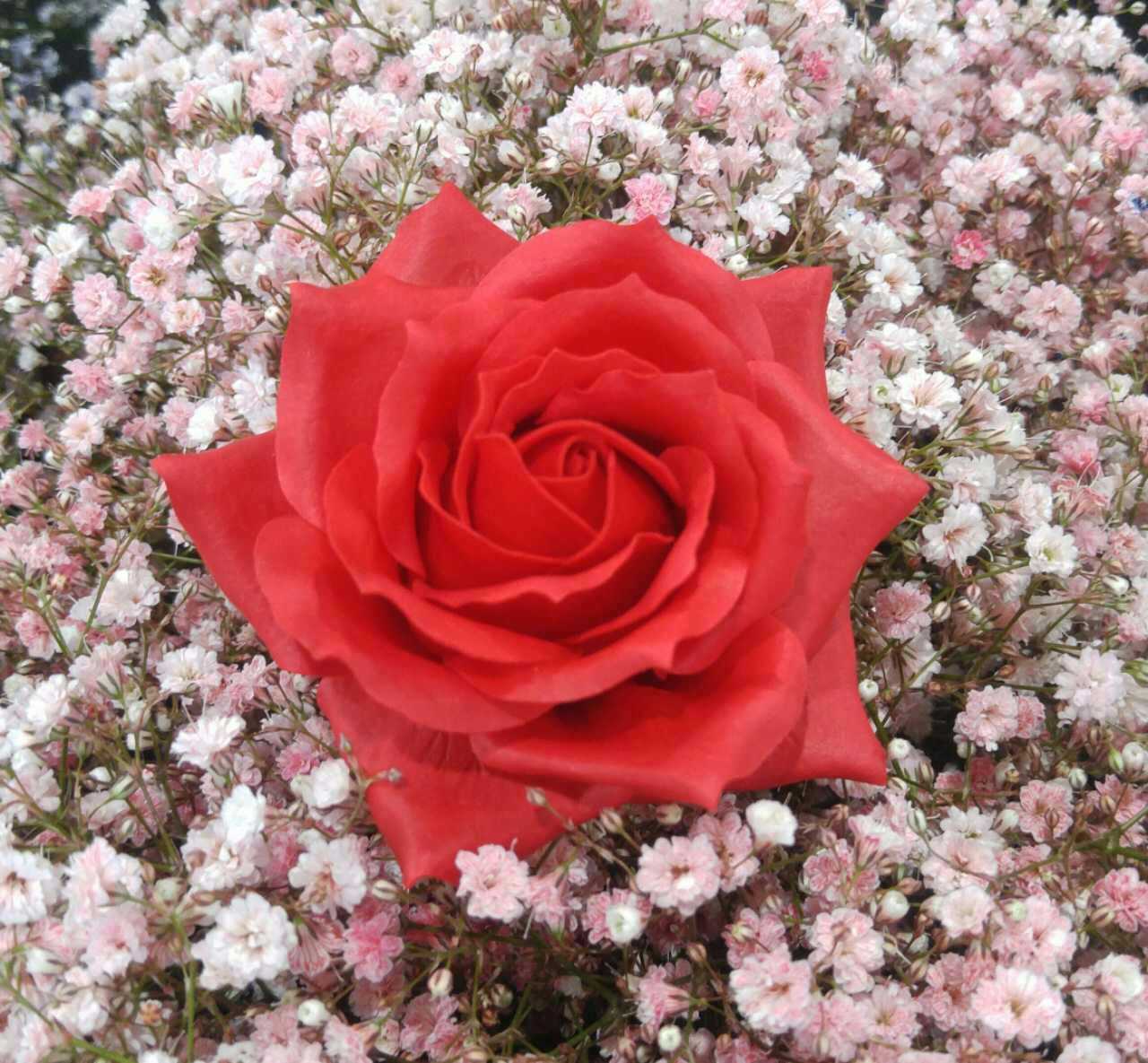 微信图片_20170504104440