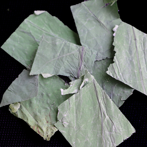 Bulk Wushan Lake Lotus Leaf Tea New Arrival Square Lotus Leaf Pieces Herbal Tea Wumei Lotus Leaf Drink Raw Material Wholesale Manufacturer