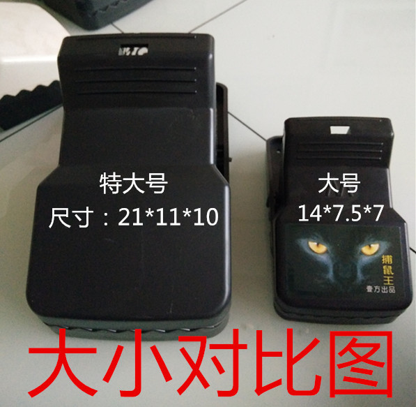 IMG20170513184207_副本