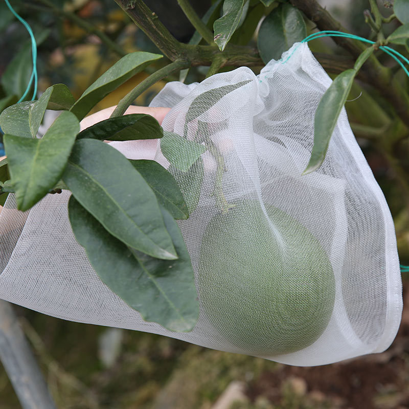 筛网袋 包装尼龙网袋