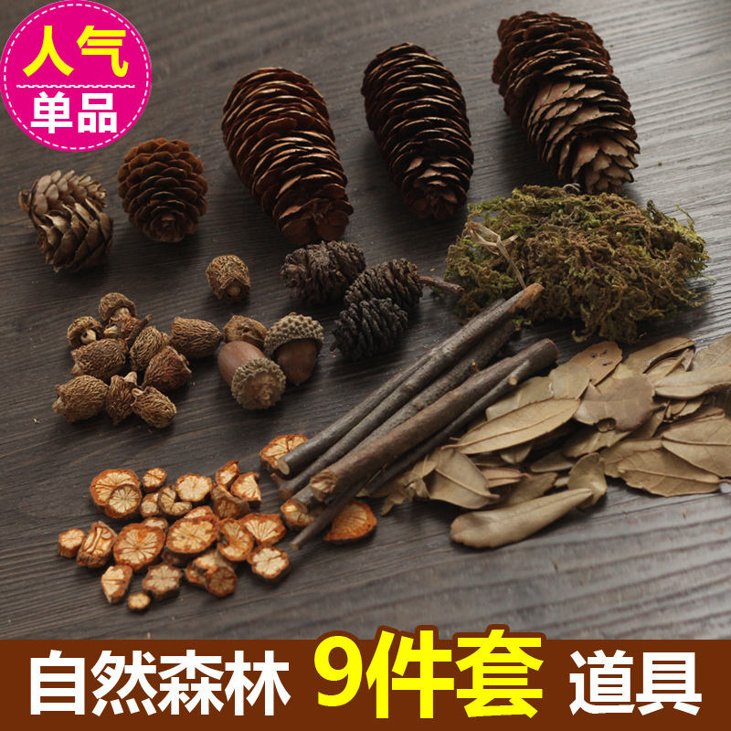 Photo Props Photo Background Cloth Forest Baby Set Chinese Style Retro Dead Branch Pine Cone Moss