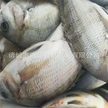 ȫ�Ԅ�ϴ�~�C ���~���~��ϴ�C �~�Ó�[�C ��ϴȥ�~�[�C�F؛�l