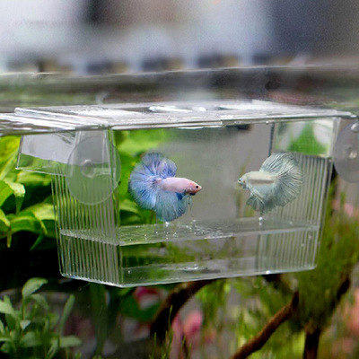 亚克力水族箱鱼缸孵化盒隔离盒优质多用途幼鱼繁殖产盒孵化器