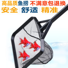 金鱼网 金鱼网品牌 图片 价格 金鱼网批发 阿里巴巴