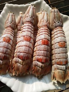 �r�Ÿ�ƤƤ�r�r�����r�������l���r��؛���aƷ�����ɟo��500G