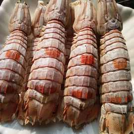 虾婆干皮皮虾虾蛄干虾爬子批发海鲜干货海产品纯淡干无添500G
